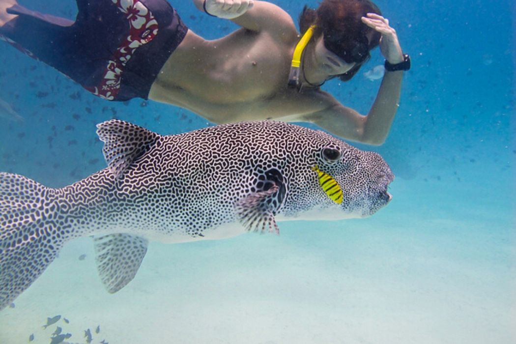 Freediving – podvodní říše na nádech