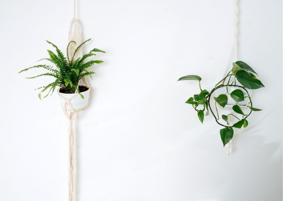 Kurz macrame – závěs na květiny