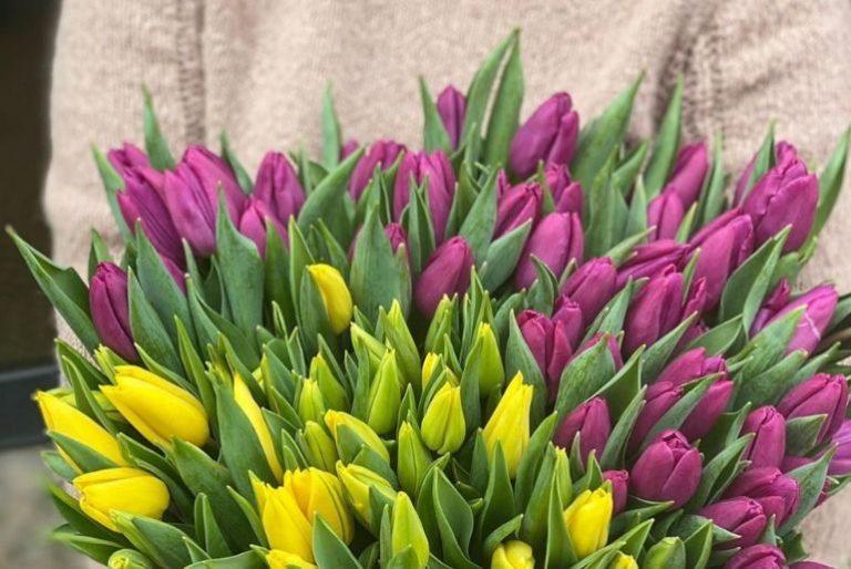 Kytky-pro-maminku-kytky-od-pepy