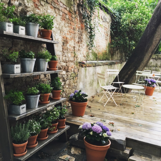 Miss Sophie's v Olomouci - zahrádka