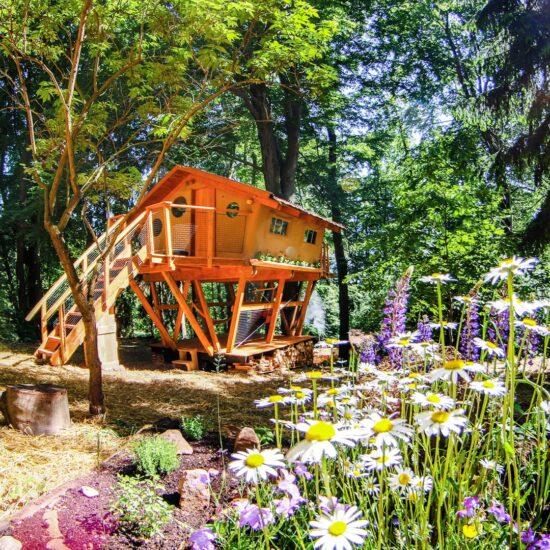 Treehouse-Zvicina-kytky-a-domek