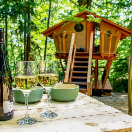 Treehouse-Zvicina-vino-dum-na-strome