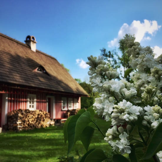 chalupa-na-horach-horni-lyseciny-2