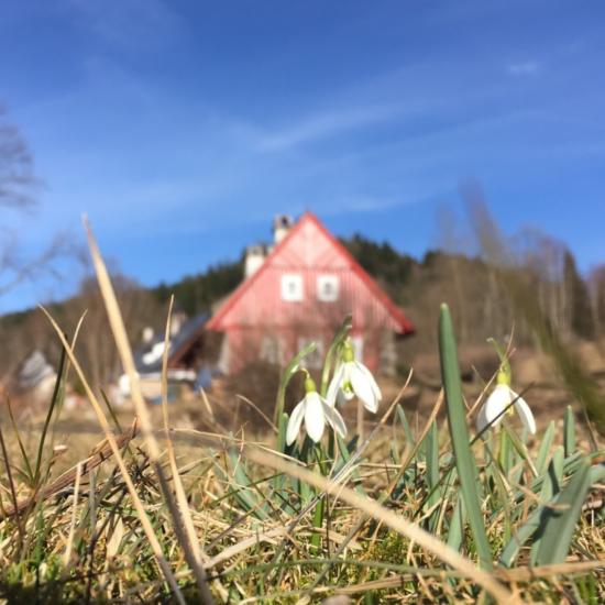 chalupa-na-horach-horni-lyseciny-6