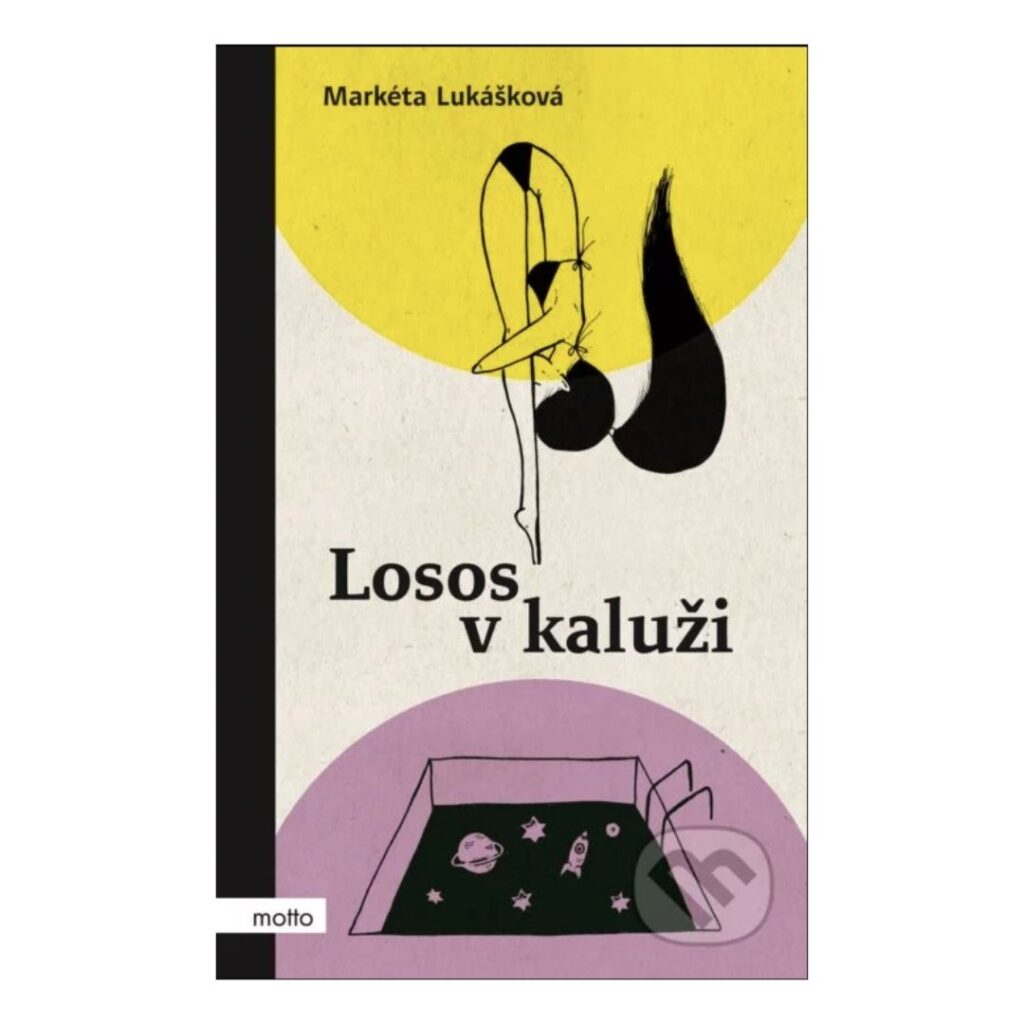 Losos v kaluži - Markéta Lukášková